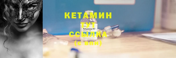 трава Заволжск