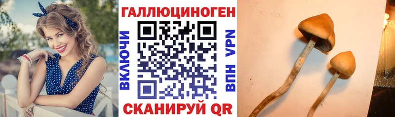 Галлюциногенные грибы Cubensis  Каменка 