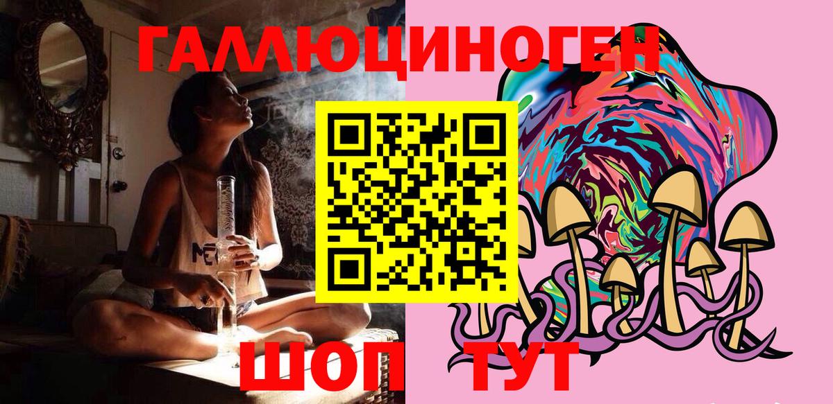 Галлюциногенные грибы MAGIC MUSHROOMS  Вход с VPN  Каменка 