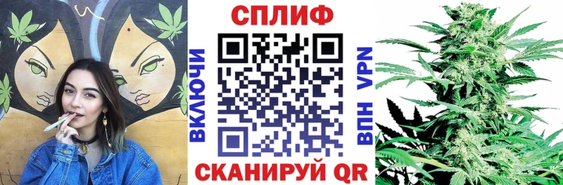 Бошки марихуана семена  ссылка на мегу маркетплейс  Каменка 